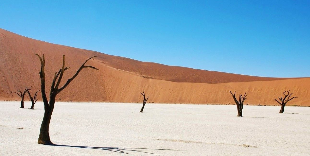 Namibia-Sand-Dunes-and-Wildlife-4